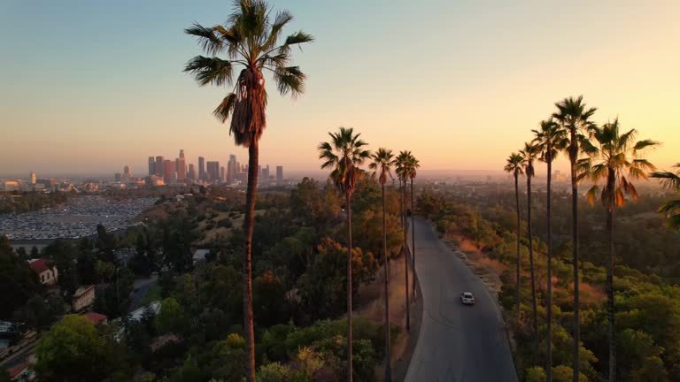 Navigating Off-Market Listings in Beverly Hills